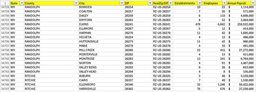 NAICS 2022 - 00  Zip Code Totals