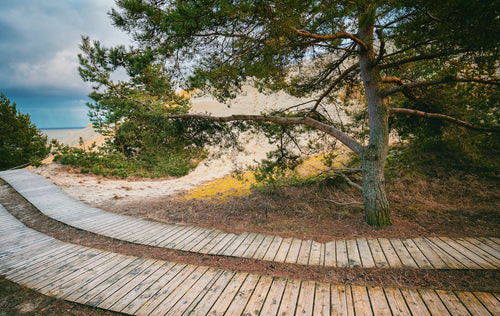 NAICS 712190 Nature Parks and Other Similar Institutions