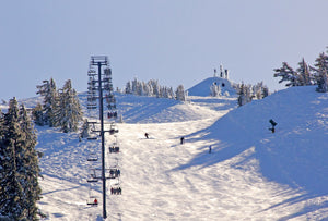 NAICS 713920 Skiing Facilities