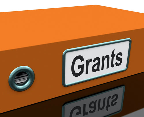 NAICS 813211 Grantmaking Foundations